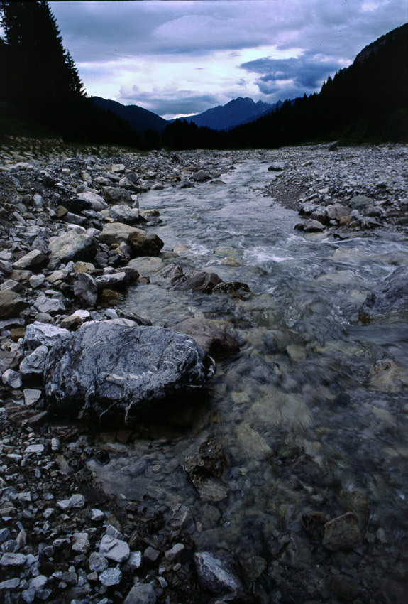 Fiume Tagliamento